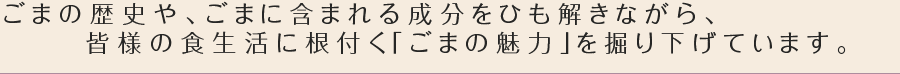 ごまの歴史や、ごまに含まれる成分をひも解きながら、皆様の食生活に根付く「ごまの魅力」を掘り下げています。